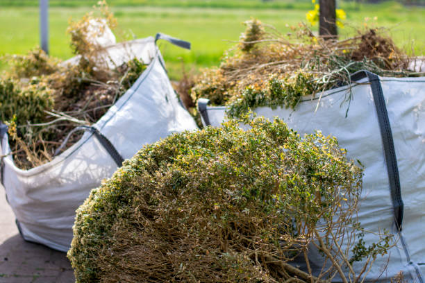 Best Junk Hauling Services  in Central Falls, RI